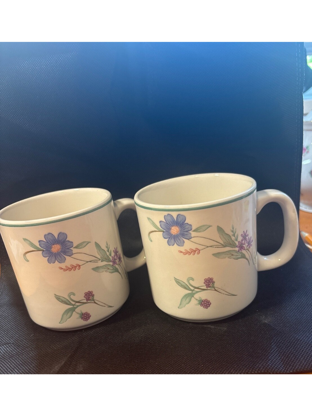 VTG Oneida Ava Set of 2 Floral Coffee Mugs Cups White Blue Green EC Free Ship‎